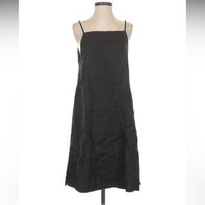 Everlane Black Apron Dress